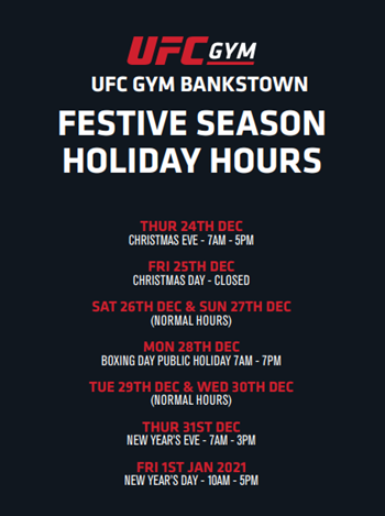 Festive Season Opening Times
